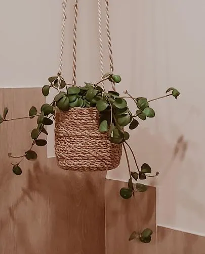 فندق مبيت وإفطار L'envie