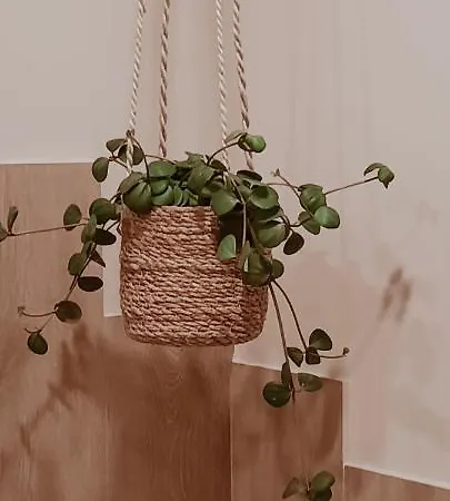 Bed & Breakfast L'envie